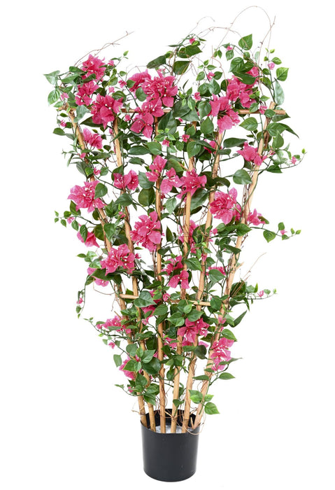 Palizzata Fiore Bouganville H140Cm Fucsia Anti-Uv