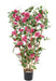 Palizzata Fiore Bouganville H140Cm Fucsia Anti-Uv