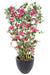 Palizzata Fiore Bouganville H140Cm Fucsia Anti-Uv