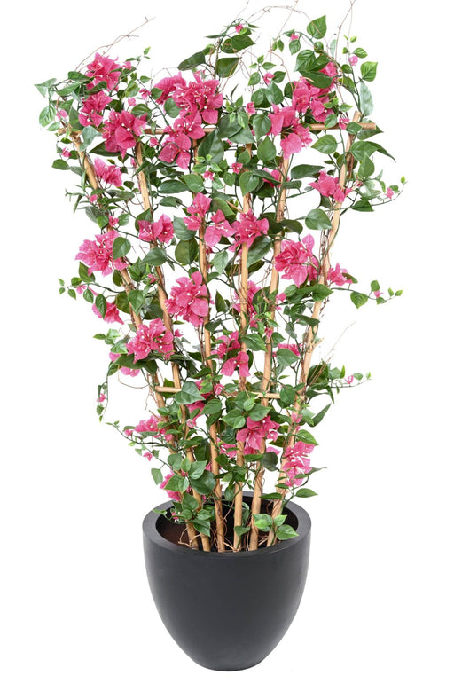 Palizzata Fiore Bouganville H140Cm Fucsia Anti-Uv