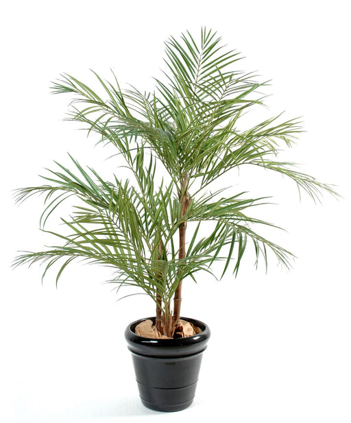 Palma Areca Artificiale 170 Cm Per Interni