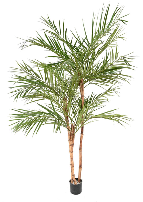 Palma Areca Artificiale 3 Tronchi 220 Cm Per Interni