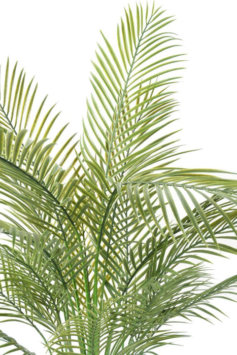 Palma Areca Artificiale H.145Cm Per Interni