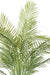 Palma Areca Artificiale H.145Cm Per Interni