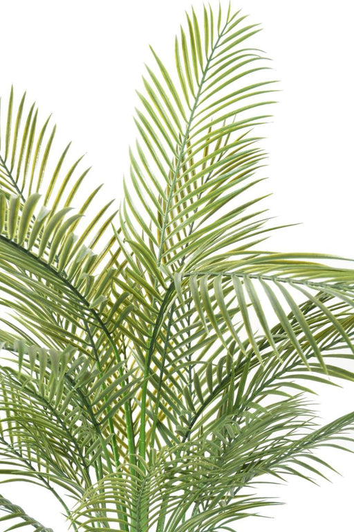 Palma Areca Artificiale H.145Cm Per Interni
