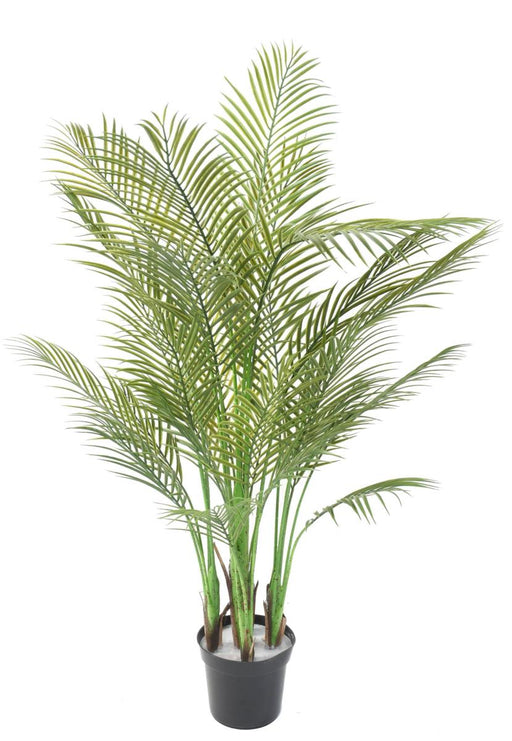 Palma Areca Artificiale H.145Cm Per Interni