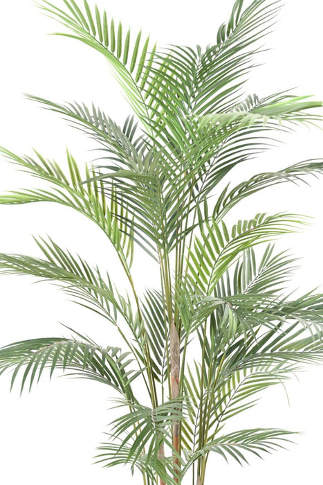 Palma Areca Plast 150Cm Per Interni Ed Esterni