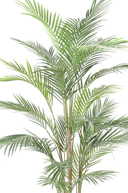 Palma Areca Plast 150Cm Per Interni Ed Esterni