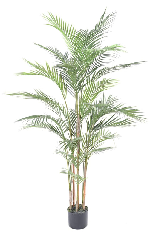 Palma Areca Plast 150Cm Per Interni Ed Esterni