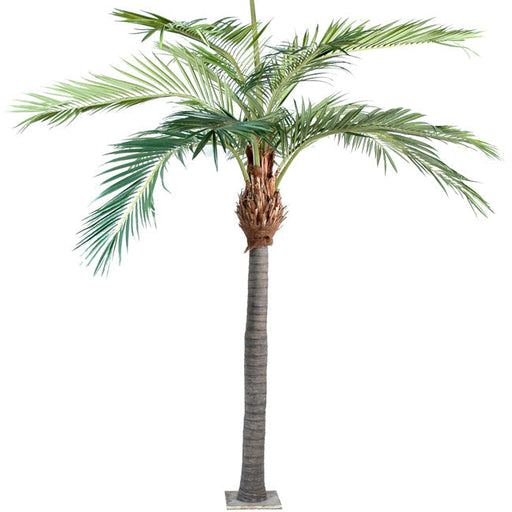 Palma Artificiale 400Cm Fibra Di Cocco Per Interni