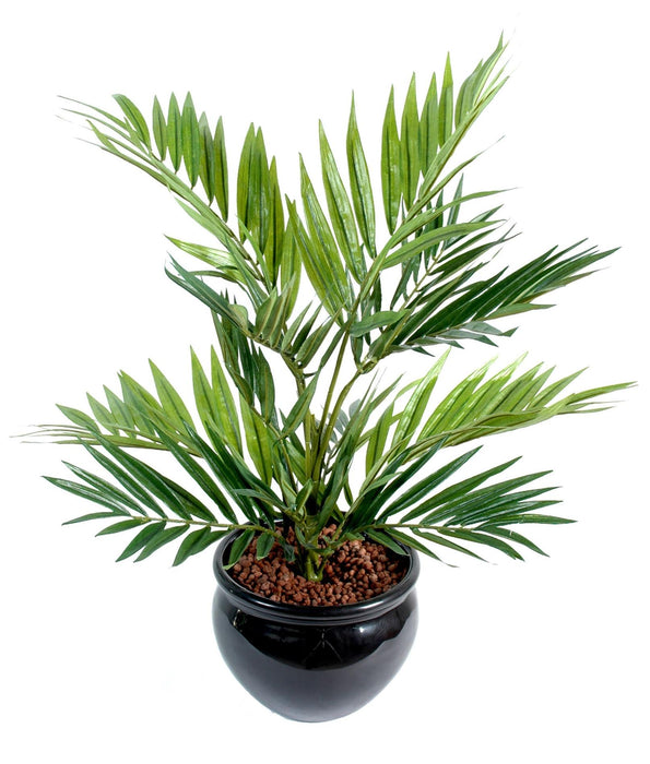 Palo Da Interno Per Palma Artificiale Chamaedorea Da 50 Cm