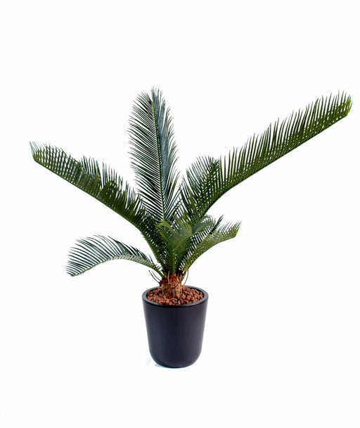 Palma Cycas Artificiale 60Cm Per Interni Ed Esterni