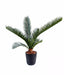 Palma Cycas Artificiale 60Cm Per Interni Ed Esterni