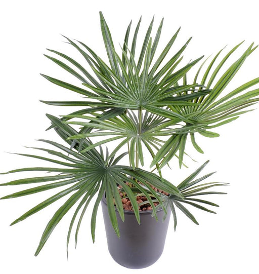 Palma Artificiale Da Interno 53 Cm Pianta Verde Finta