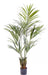 Palma Kentia Artificiale 145 Cm Verde Per Decorazione