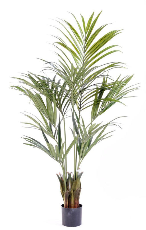 Palma Kentia Artificiale 145 Cm Verde Per Decorazione