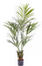 Palma Kentia Artificiale 145 Cm Verde Per Decorazione