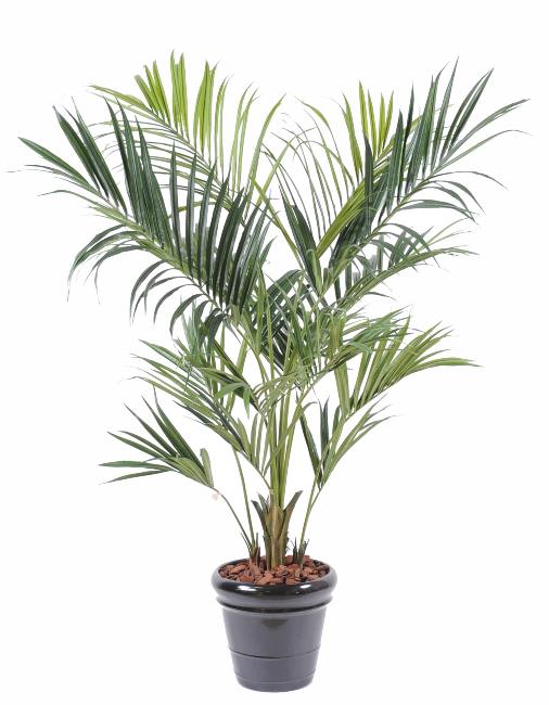 Palma Artificiale Kentia Royal 180Cm Verde