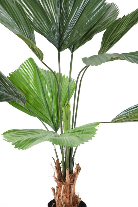 Palma Artificiale Licuala Grandis 120Cm Verde