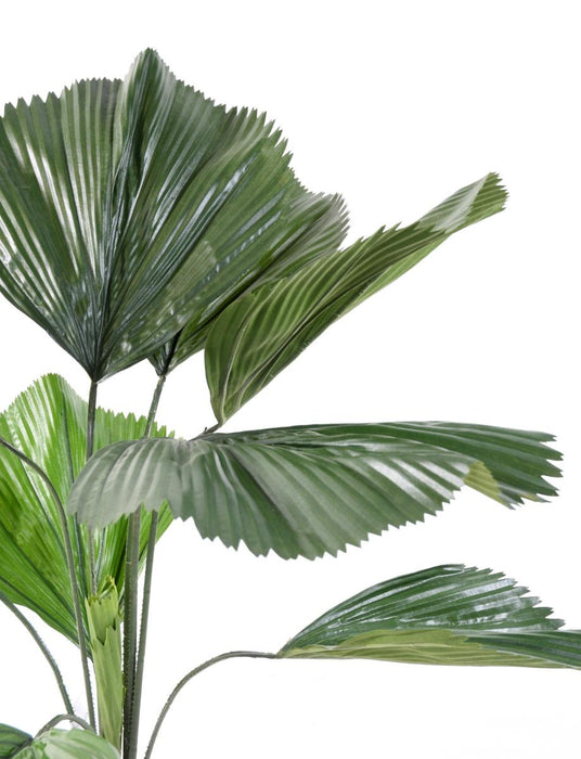 Palma Artificiale Licuala Grandis 120Cm Verde