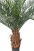 Palma Fenice Artificiale 18 Palme 130Cm Verde