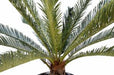 Palma Cycas Artificiale 100 Cm Per Interni