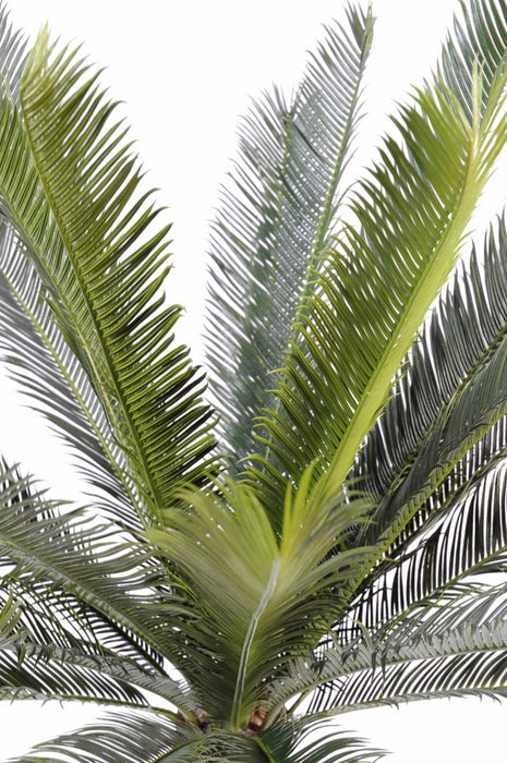 Palma Cycas Artificiale 100 Cm Per Interni Esterni