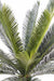 Palma Cycas Artificiale 100 Cm Per Interni Esterni