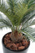 Palma Cycas Artificiale 65 Cm Per Interni Ed Esterni