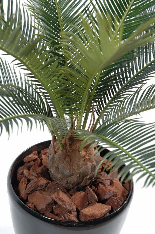 Palma Cycas Artificiale 65 Cm Per Interni Ed Esterni