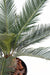 Palma Cycas Artificiale 65 Cm Per Interni Ed Esterni