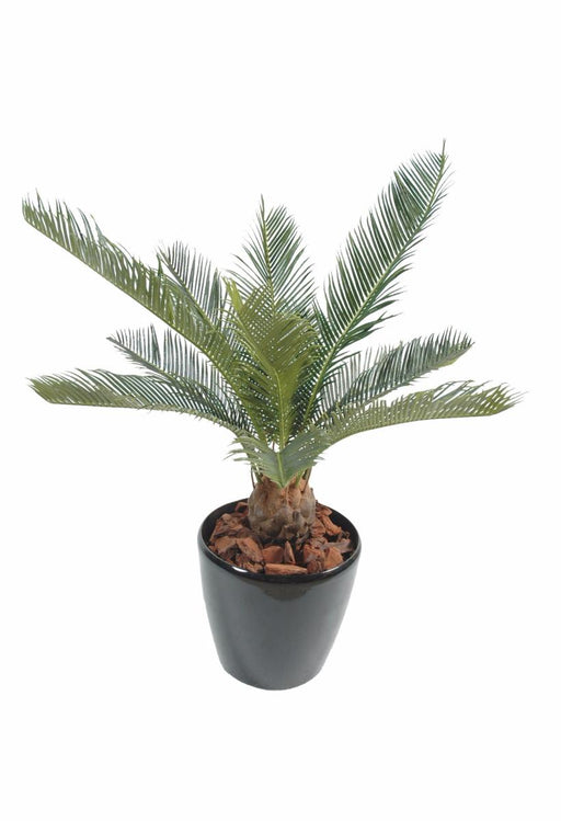 Palma Cycas Artificiale 65 Cm Per Interni Ed Esterni