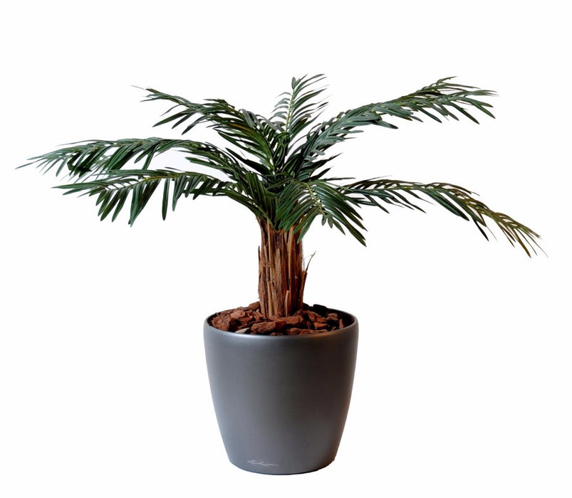 Palma Cycas Artificiale 80Cm Per Interni