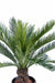 Palma Cycas Artificiale 90Cm Per Interni Esterni