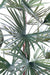 Palma Livistonia Artificiale 140Cm Decorazione Verde
