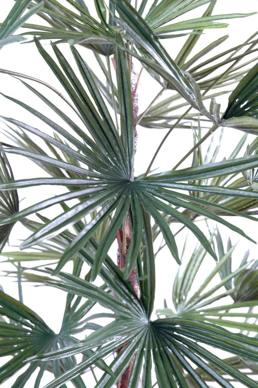 Palma Livistonia Artificiale 140Cm Decorazione Verde