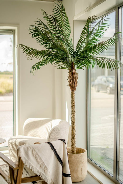 Palma Phoenix Di Lusso - Albero Artificiale