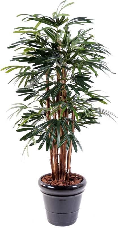 Palma Raphis Artificiale 210 Cm Pianta Tropicale