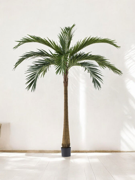 Palma XL Deluxe - Albero Artificiale