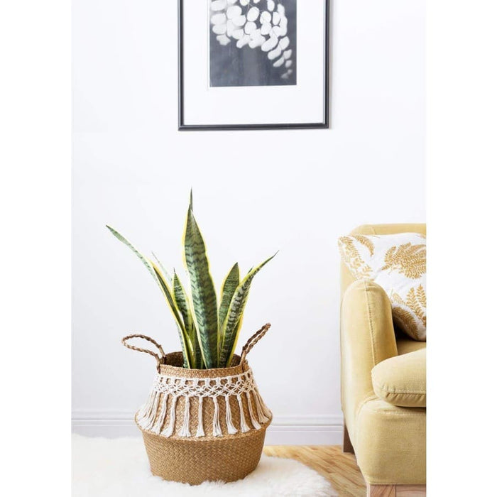 Cestino Per Palline Bohémien