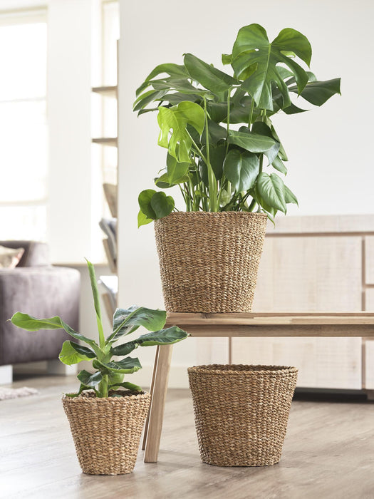 Cestino Naturale - H23Cm, Ø26Cm