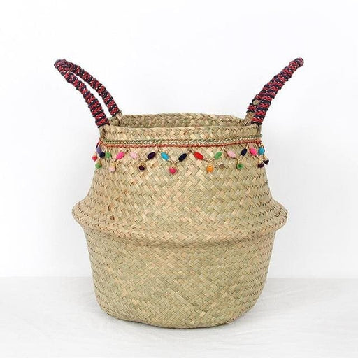 Cesto In Vimini Planti