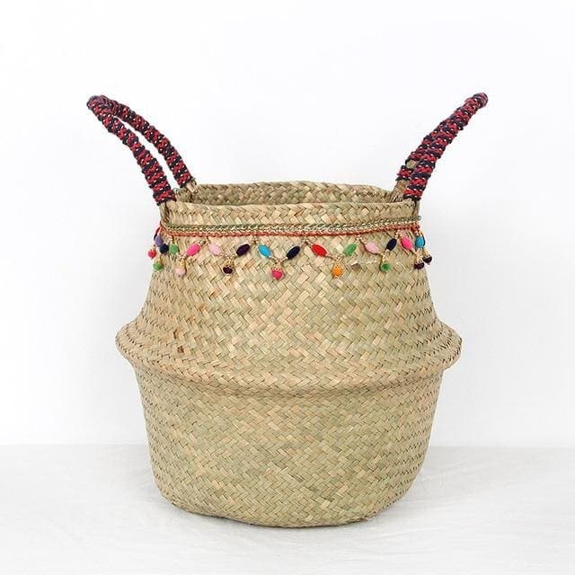 Cesto In Vimini Planti