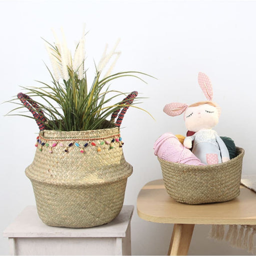 Cesto In Vimini Planti