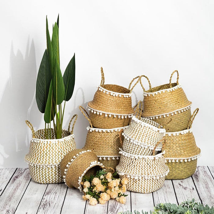 Cestino Per Mosche Tailandesi