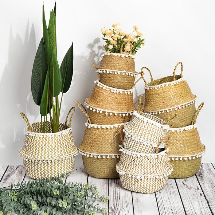 Cestino Per Mosche Tailandesi