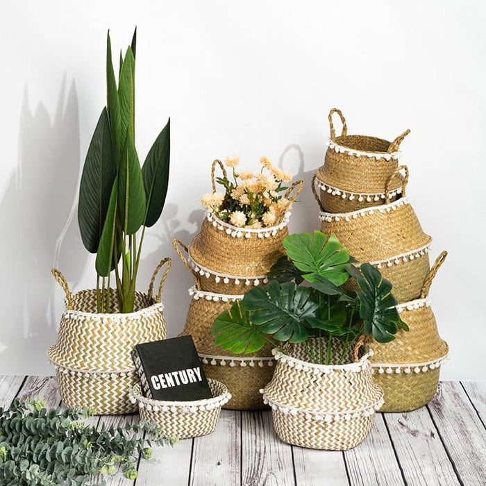 Cestino Per Mosche Tailandesi