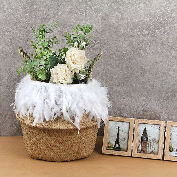 Cesto Di Piume Tailandesi