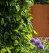 Pannello Da Giardino In Acciaio Corten Arrugginito 180X110 Cm