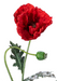 Papavero Rosso Artificiale 98 Cm Fiore Di Campagna